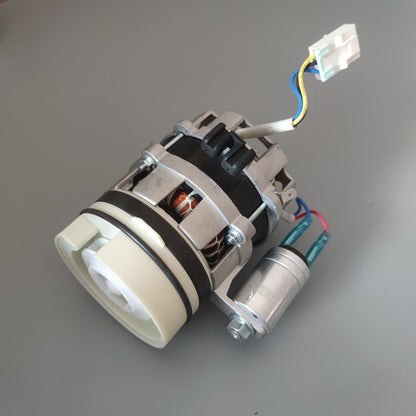 MOTOR PUMP 11001010000035